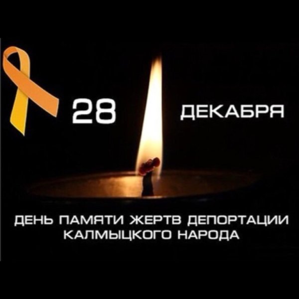 День Северного оленя 28 декабря