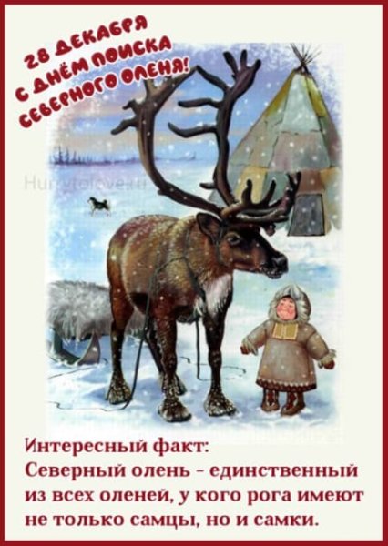 До нового года 5 дней