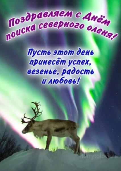 28 Декабря день