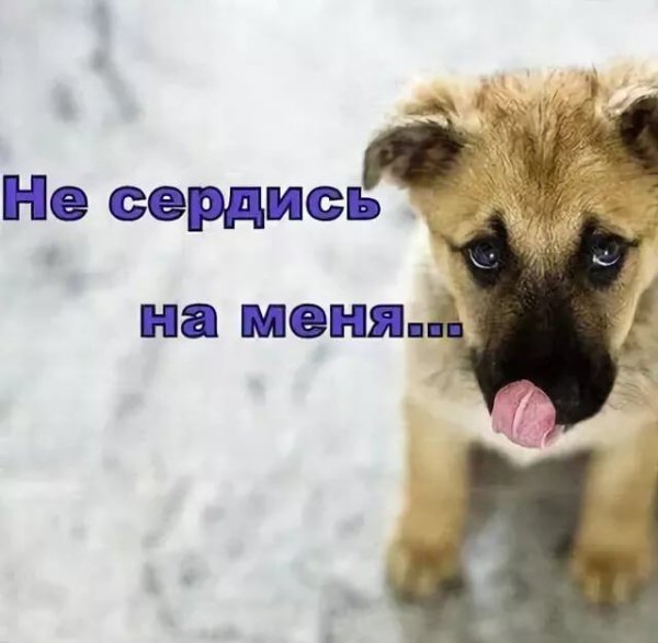Не обижайся на меня