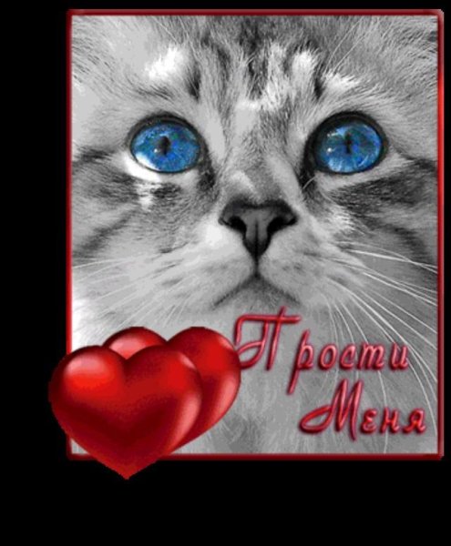 Прости меня любимый