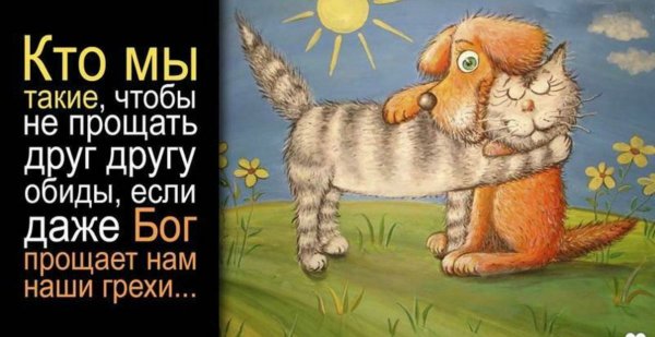 Прощение картинки