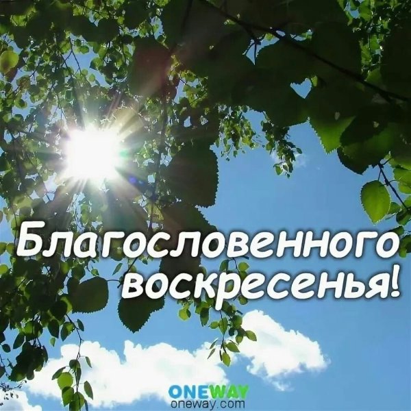 С воскресным днем православные