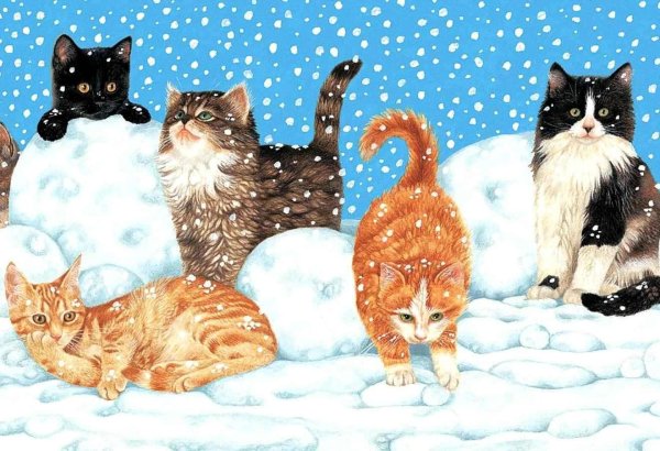 Зимние пейзажи с котами