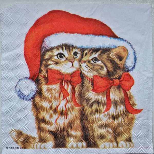 Два котика в новогодних шапочках