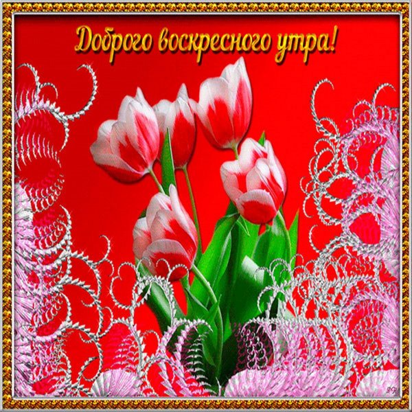 Открытки с воскресным утром