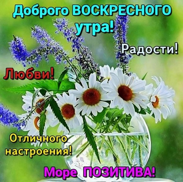 Открытки хорошего воскресенья