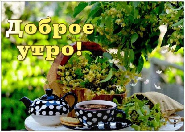 Доброго воскресного дня