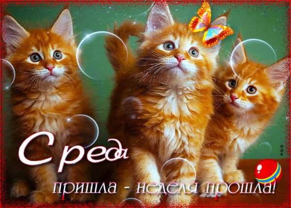 Со средой картинки позитивные