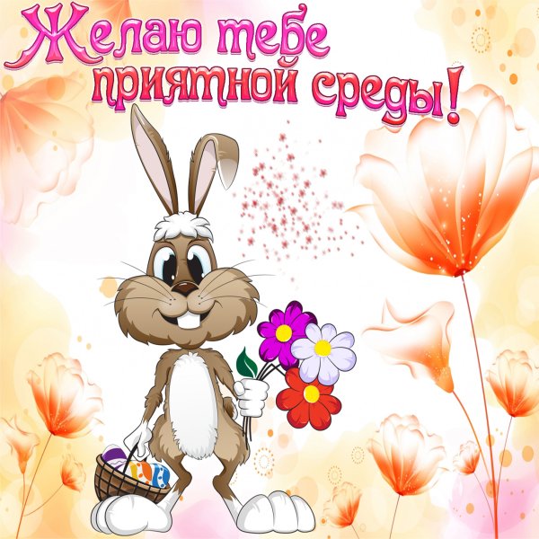 Доброе утро среда