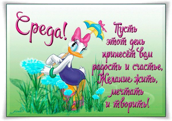 Поздравления со средой в картинках прикольные
