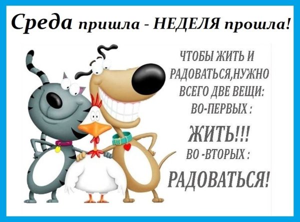 Поздравление со средой прикольное