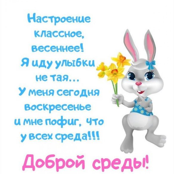 Среда цитаты