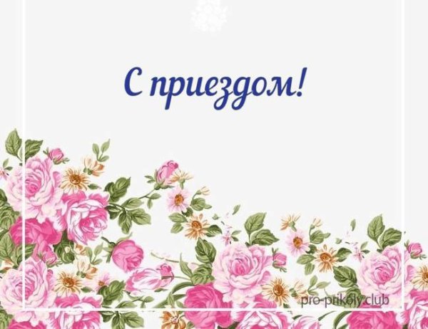 С приездом