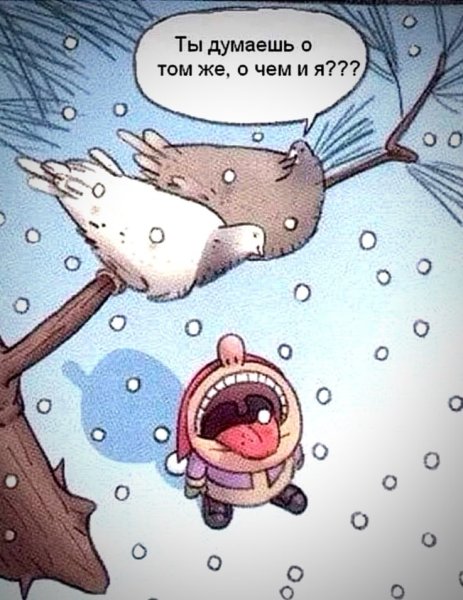 Приколы про зиму