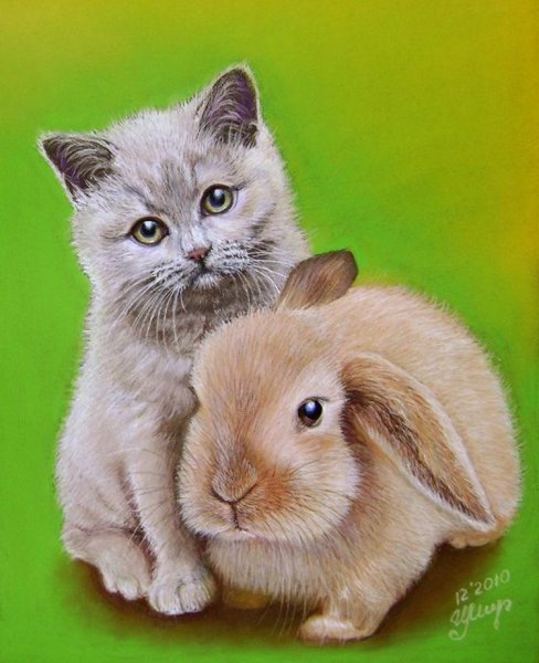Кролик и котенок