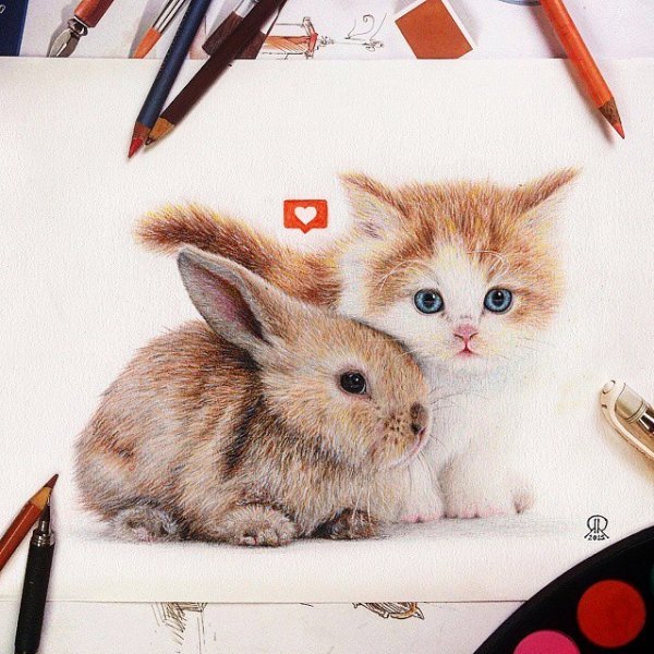 Милые котики и зайчики