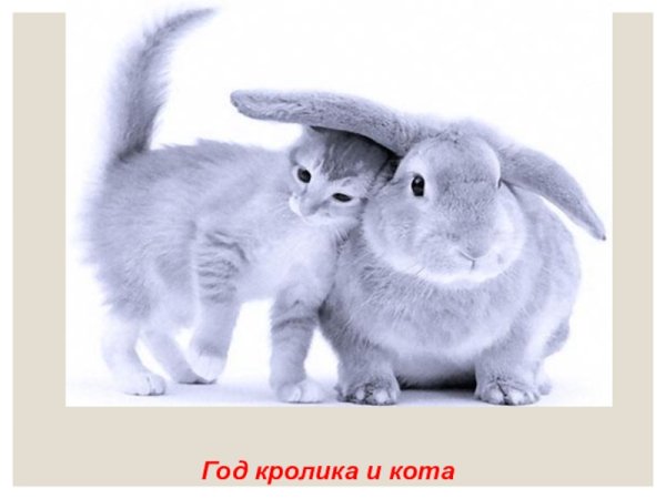 Кот и заяц
