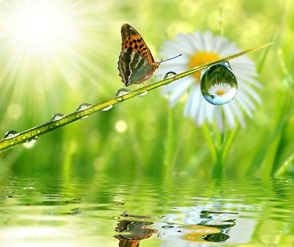 Доброе утро природа