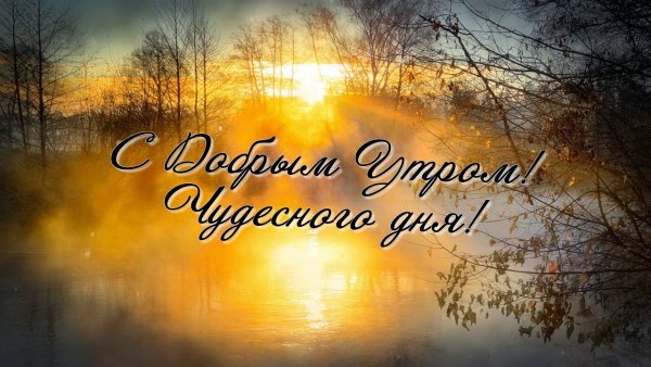Доброе туманное утро