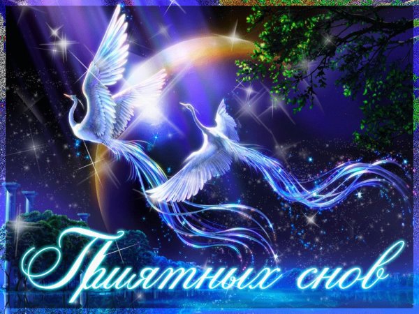 Добрых сновидений
