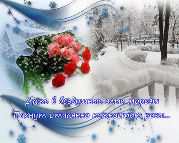Зимние пожелания
