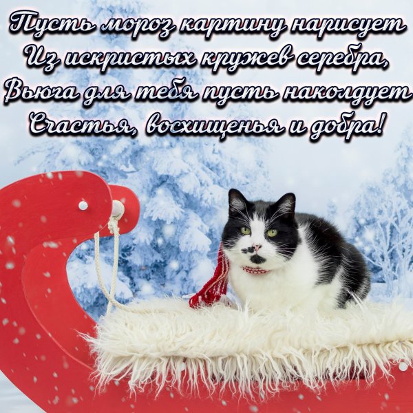 Зимние открытки со стихами