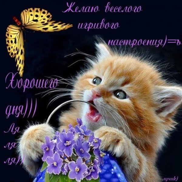 Игривое настроение