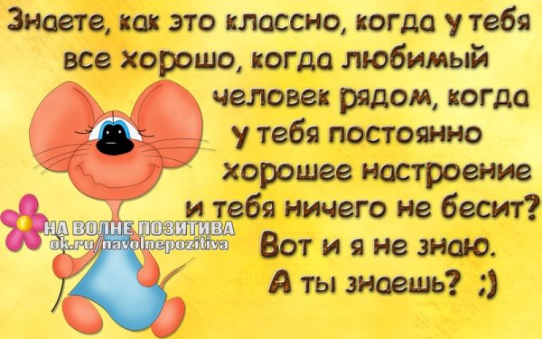 Прикольные стихи для поднятия настроения