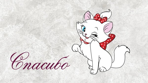 Международный день спасибо