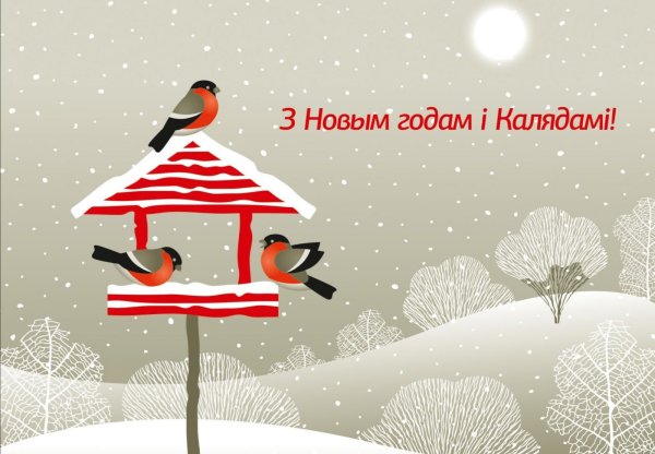 Сцэнарыі мерапрыемства віншаванне з Калядамі