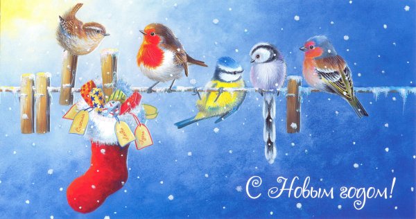 Новый год на белорусском языке