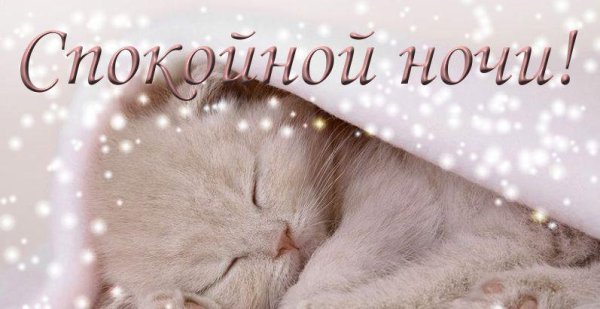 Спокойной зимней ночи