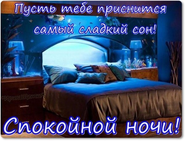 Спокойной зимней ночи