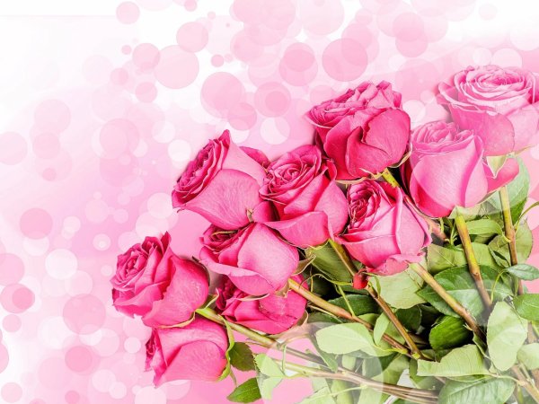 Красивый букет цветов