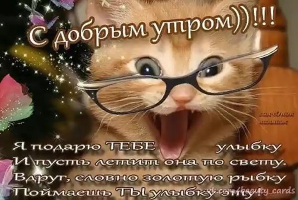 Поздравления с добрым утром прикольные