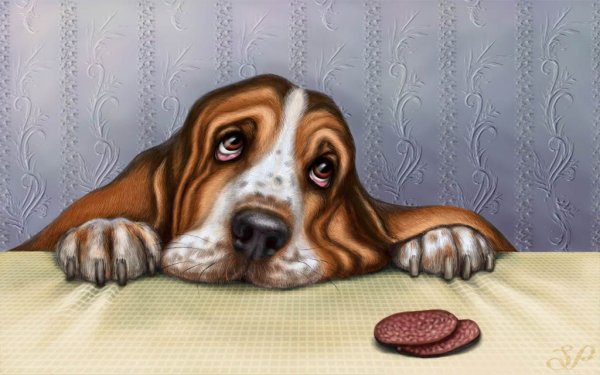 Открытки пятница 13 прикольные