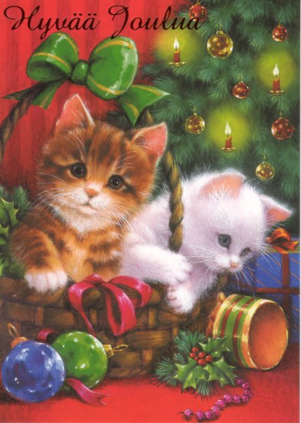 Год зайца и кота