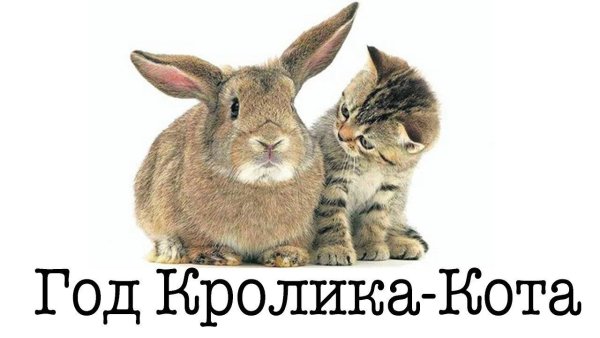 Новогодние открытки с котятами