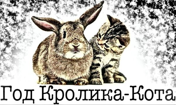 Новогодний кот