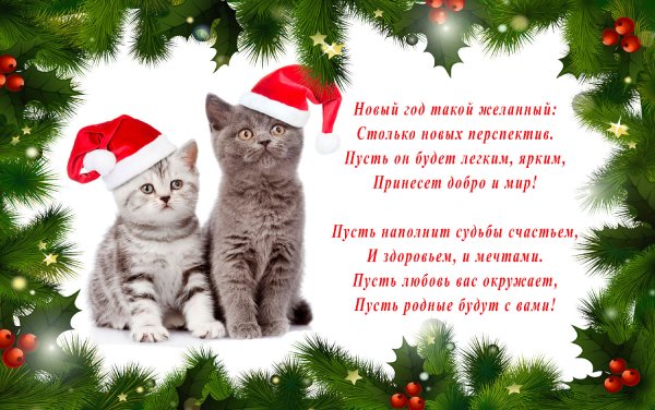 Кот и кролик новый год