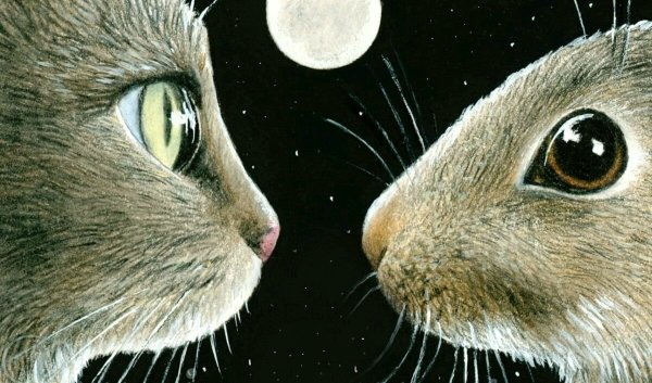 Кролик и котенок