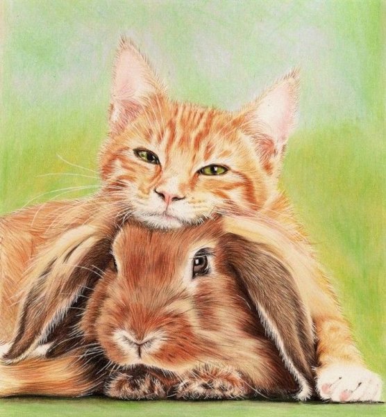 Зимние открытки с зайцами