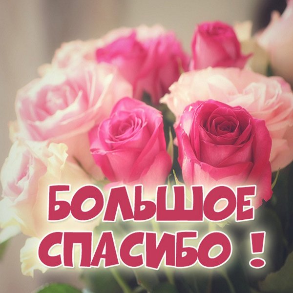 Открытки с благодарностью