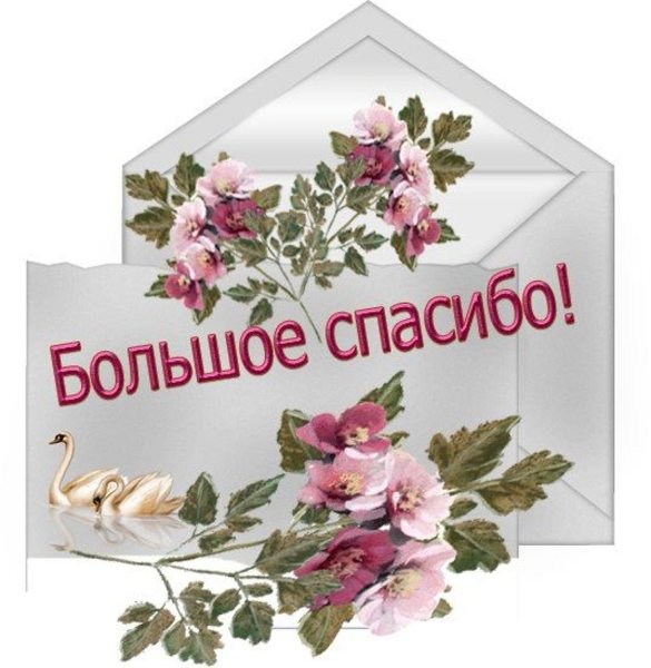 Открытка спасибо за поздравления