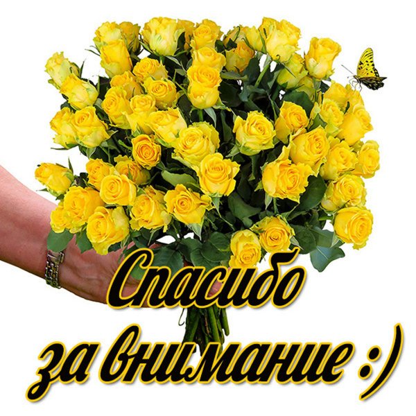 Благодарю вас за внимание