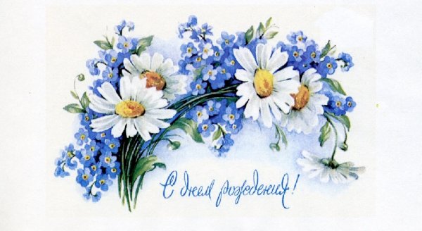 Ромашки и незабудки