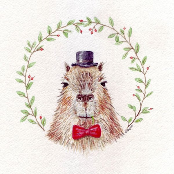 Капибара шла из бара