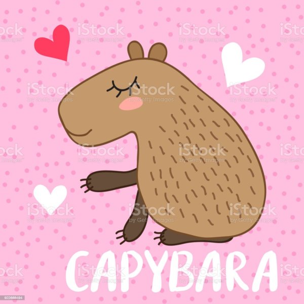 Капибара арт