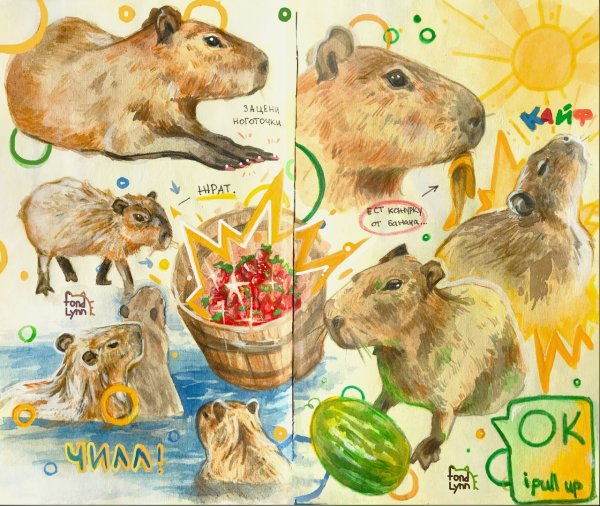 Морские свинки в искусстве